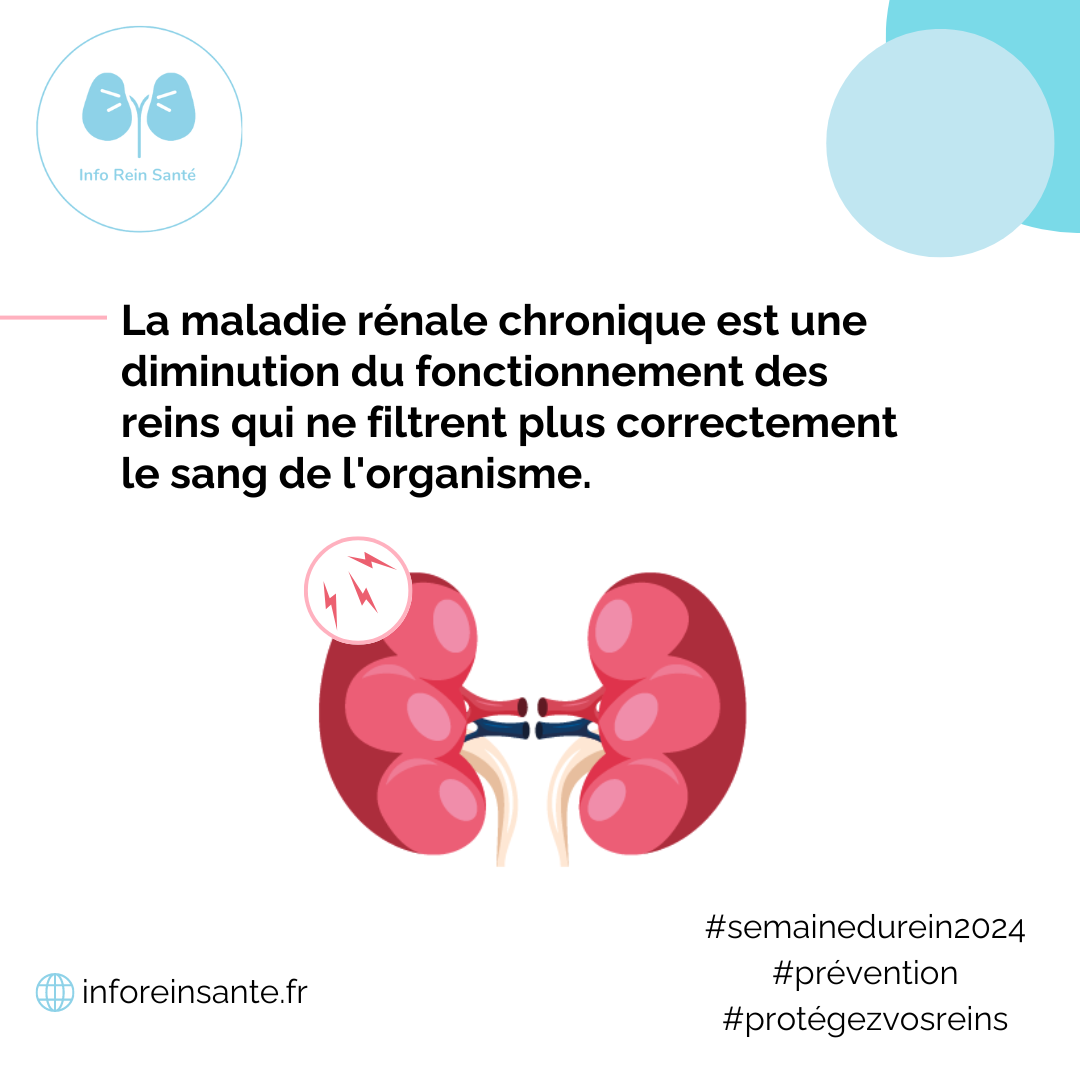 Les traitements – Info Rein Santé