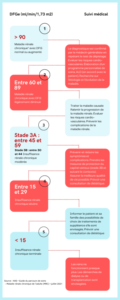 Les 5 stades de l'insuffisance rénale – Info Rein Santé